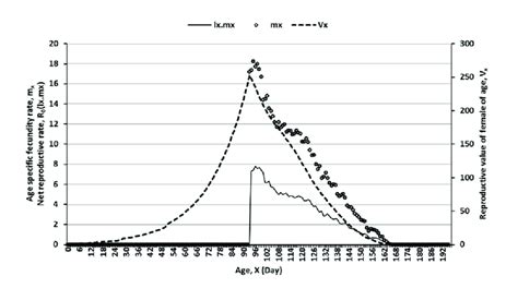 Image result for Net Reproductive Rate Formula Life Table
