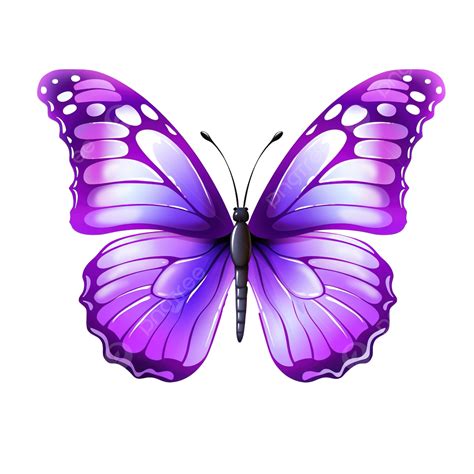 Purple Butterfly Cute, Purple, Butterfly, Violet PNG Transparent Image ...