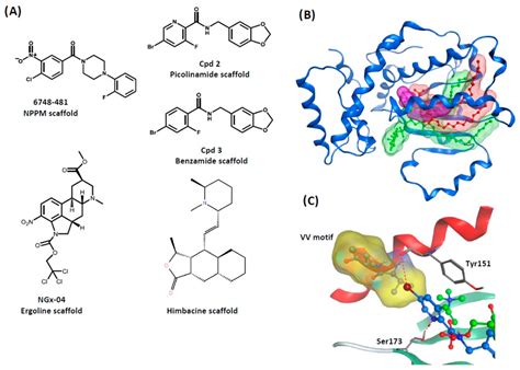 Emerging Prospects for Combating Fungal Infections by Targeting ...