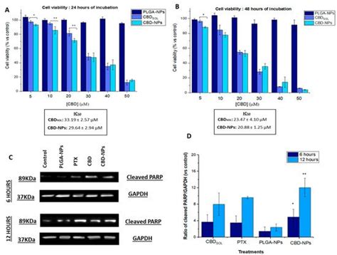 PLGA Nanoparticles for the Intraperitoneal Administration of CBD in the ...