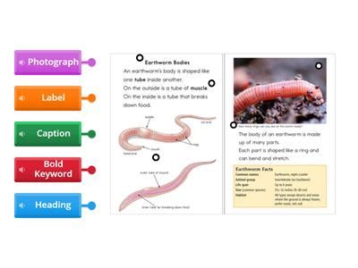 Image result for Text Feature Graphic