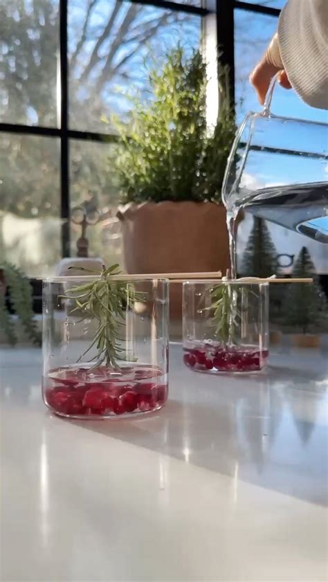 How to Make the Viral Snowglobe Cocktail — The Kwendy Home