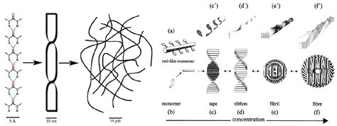 Crystal Growth in Gels from the Mechanisms of Crystal Growth to Control ...