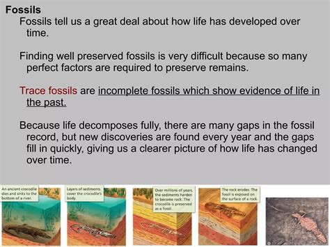 Life Science Evolution 的图像结果