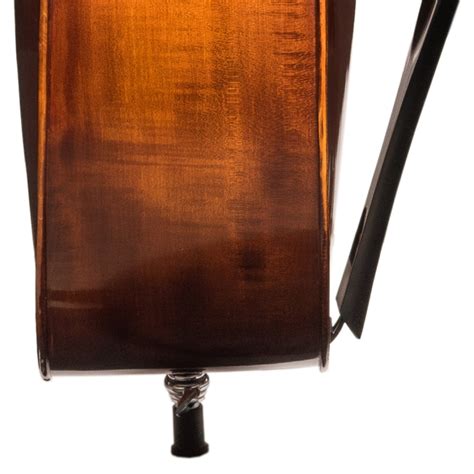 Image result for Gamba Tutorial