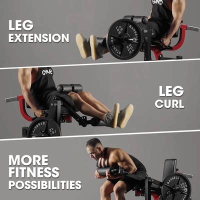 Syedee 3 IN 1Leg Extension and Curl Machine, 450 lbs India | Ubuy