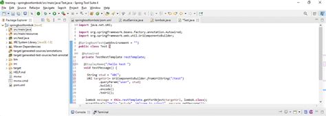 Java Spring Boot Tutorial Lombak 的图像结果