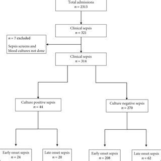 Image result for Neonatal Sepsis Algorithm