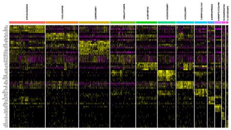 IJMS | Special Issue : Pathogenesis and New Therapeutic Approaches for ...