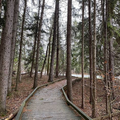 TREE FARM TRAIL (2025) All You Need to Know BEFORE You Go (with Photos ...