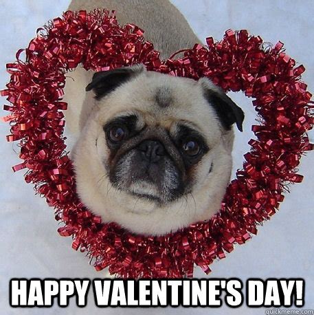 Pug Valentine memes | quickmeme