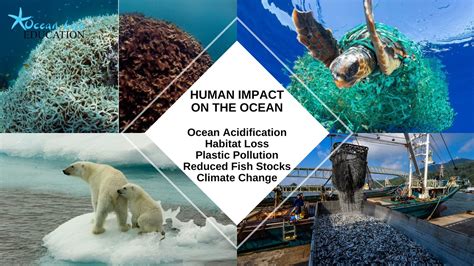 Human Impact Teaching Resources for Schools in Australia - Ocean Life Education