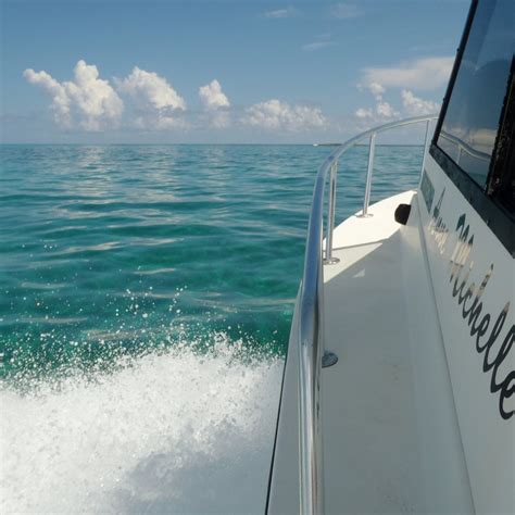 DIVE ABACO (2026) All You Need to Know BEFORE You Go (with Photos ...