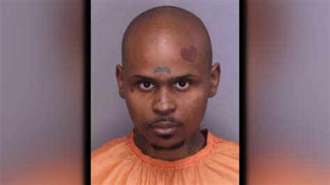 Man arrested weeks after stealing 20 guns from South Carolina store ...