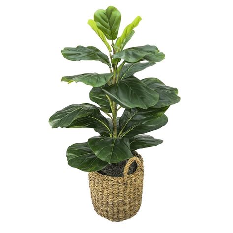 LCG 30-in Green Indoor Fiddle Leaf Artificial Plant 19G38 at Lowes.com