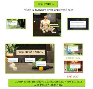 FUNCTIONAL CHICKEN COOP – icemunmun