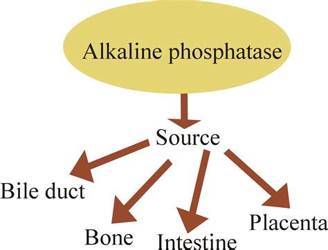 Klinik Medilove Kepong: Elevated Alkaline Phosphatase