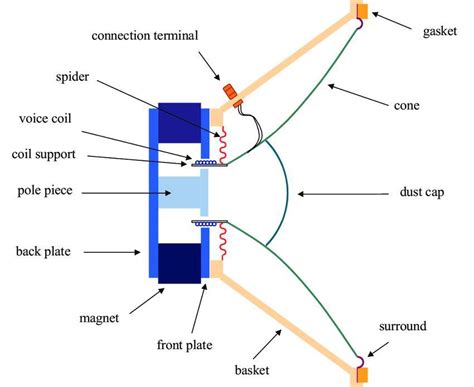 draw neat and labelled diagram of loudspeaker - Brainly.in