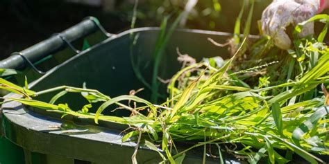 Image result for Garden Waste Collection