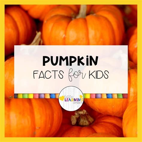 Pumpkin Statistics Lab at Kenton Bridges blog