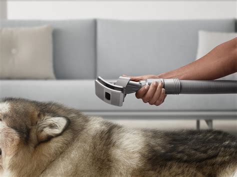 Dyson launches Pet grooming kit for its vacuum cleaners; it's a must ...