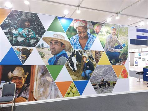 At COP27, US and Partners Announce More Funds for ‘Efficient ...