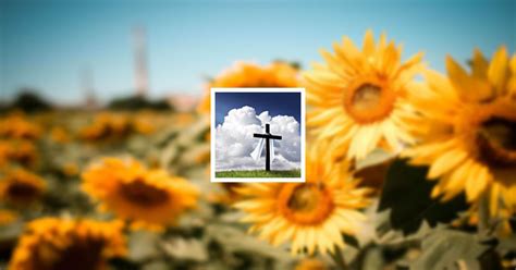 Obituary | Gail Thomas | Vito C. Martucci Funeral Home LLC