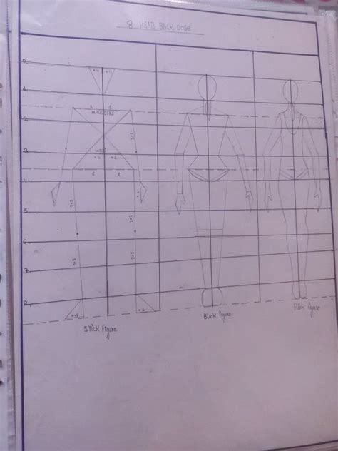 Image result for Body Guide Box Drawing