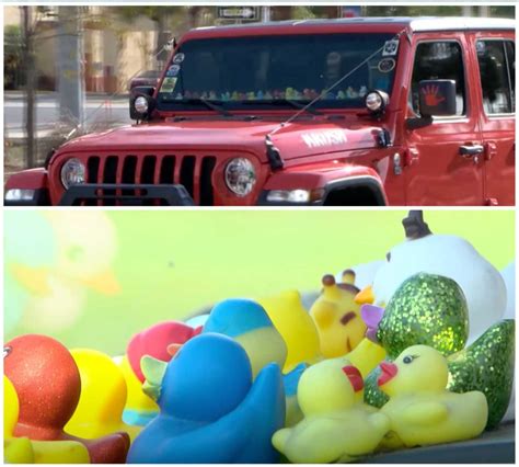 Curious Why Jeeps Have Ducks On Them? Unveiling the Story Behind this ...