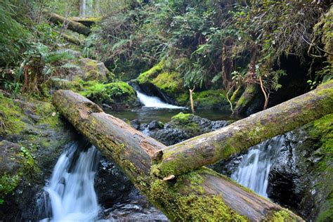 Image result for Natural Obstacle Course