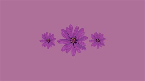 [100+] Cute Purple Aesthetic Wallpapers | Wallpapers.com