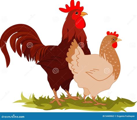 Hen And Rooster Clipart Image