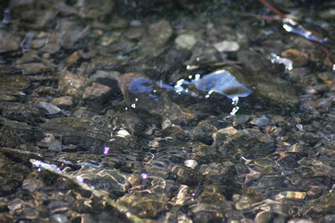 Geoscience Processes Erosion Examples 的图像结果