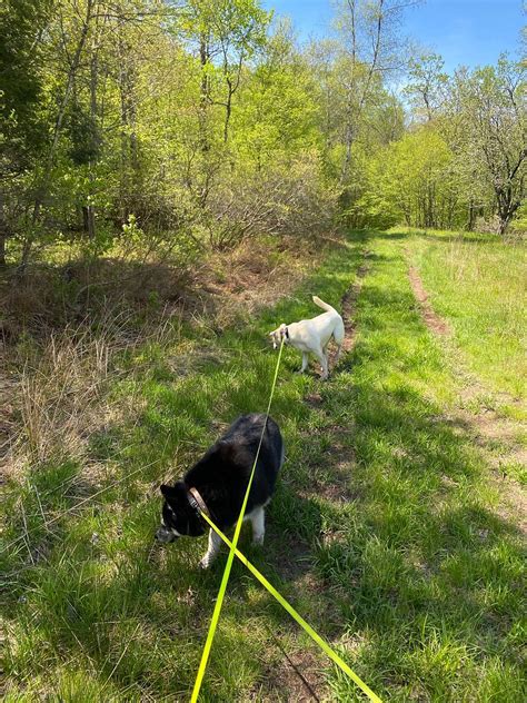 ANTRIM STREAMSIDE (Livingston Manor) - Lodge Reviews, Photos, Rate ...