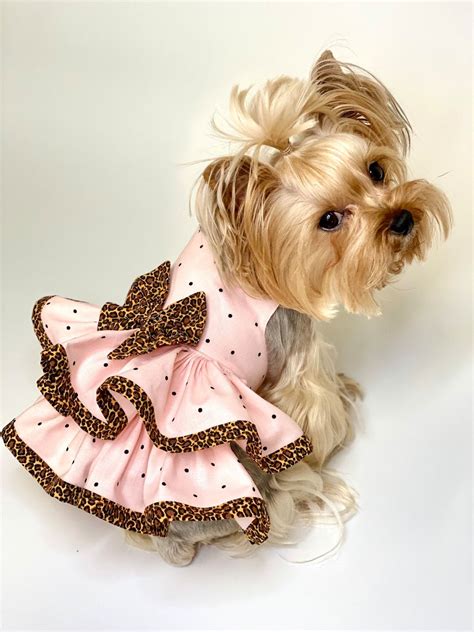 Pet dress – Artofit