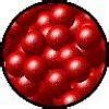 how are particles arranged in solids liquids and gases explain - Brainly.in