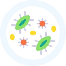 CSIR NET Syllabus 2025, Detailed Syllabus for Paper 1 And Other ...