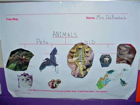 Image result for Create a Tree Map