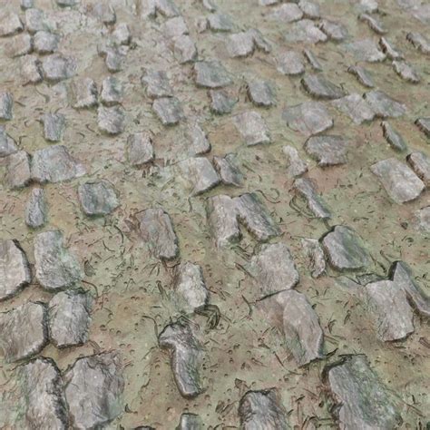 Mossy Cobblestone Path Texture 1247 - LotPixel