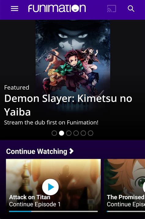 Image result for FUNimation Problems