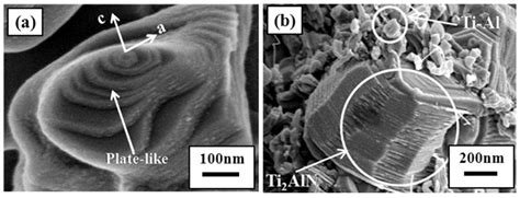 Combustion Synthesis of MAX Phases: Microstructure and Properties Inherited from the Processing ...
