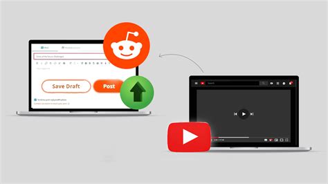 Reddit Video Best 的图像结果