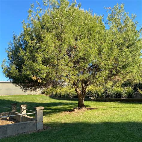 MEMORIAL PARK (2026) All You Need to Know BEFORE You Go (with Photos ...