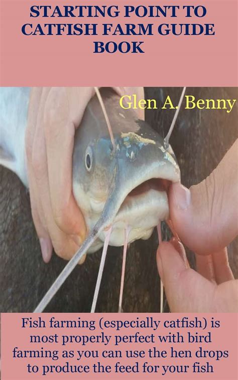 Image result for Catfish Farming Tips