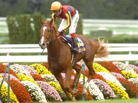 今日は何の日?(10月23日) : TAKESHI～鉄道と競馬が好き～