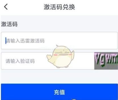 迅雷激活码使用方法 - 咔咔装机官网