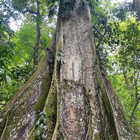 BIJAGUA RANAS (2026) All You Need to Know BEFORE You Go (with Photos ...