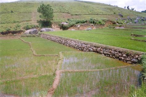 Erosion: Soil and Water Conservation Department, Government of Meghalaya
