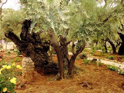 Resources | The New Community