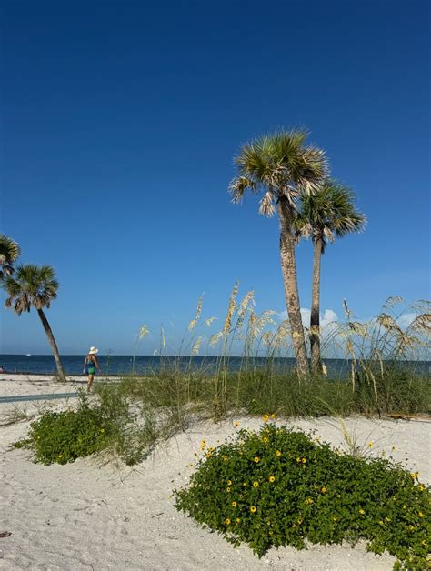 Plein Air - Fred Howard Beach , Fred Howard Beach Tarpon Springs, 3 ...